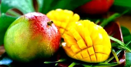 mango