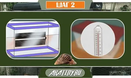 10 lépés az ellátást a csiga Achatina otthon () 10 lépés az ellátást a csiga Achatina otthon