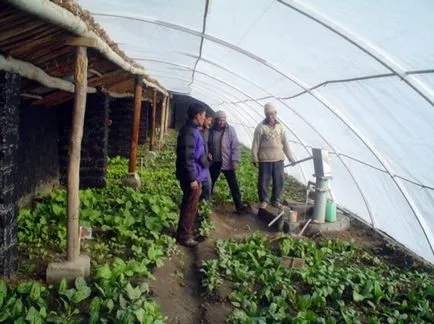 35 Földalatti üvegházak évben termesztés
