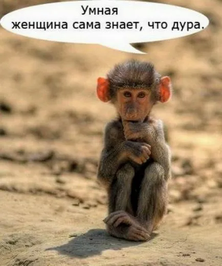 7 jelei, hogy nem olyan okos, mint gondolod