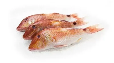 Mullet főzés - különösen a főzési, hasznos tulajdonságok és fajták (tulajdonságok) Vörös márna a főzés - különösen főzés, hasznos tulajdonságok és fajták