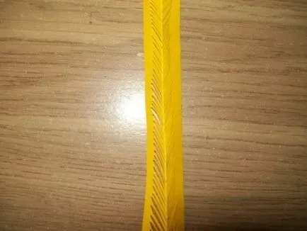 Asters papír saját kezűleg