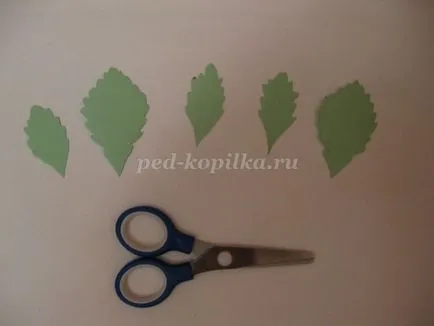Astra papír saját kezűleg