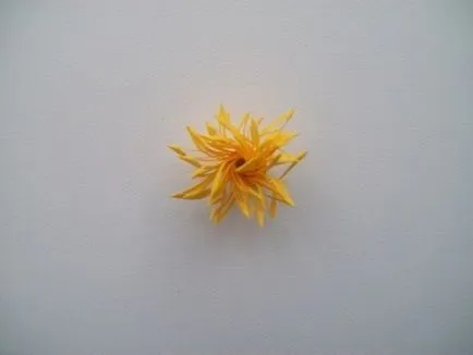Asters papír saját kezűleg