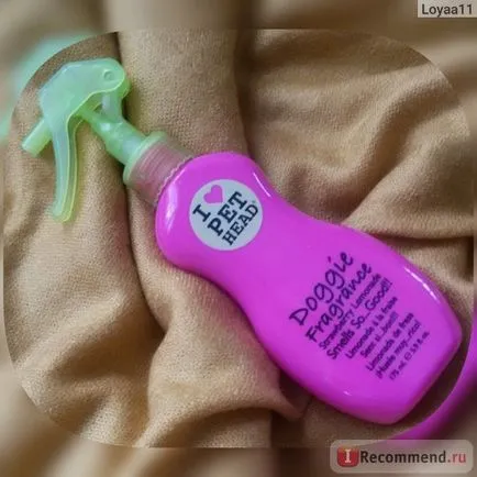Fragrance kutyák pet fej eper limonádé 24 óra - „légfrissítő vagy parfüm kutyák számára