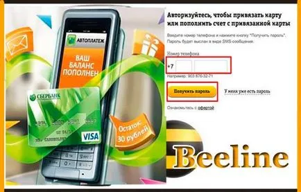 Beeline hogyan lehet letiltani avtoplatezh és nyakkendő a térképen