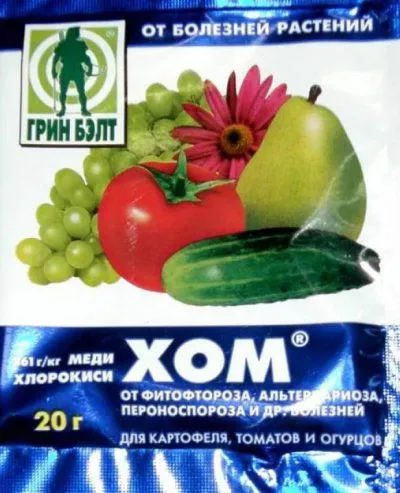 A folyamat egres lisztharmat, mint permet
