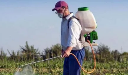 A spray burgonya a burgonyabogár, kertész