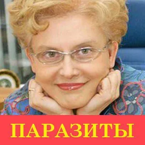 rüh papagáj