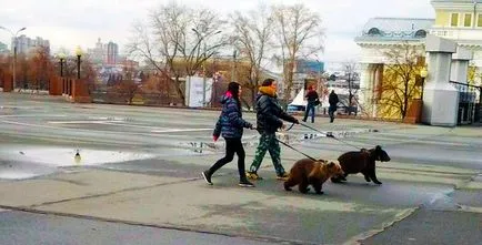 Amit a németek úgy vélik, a magyar