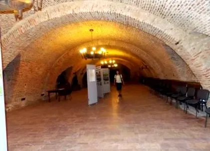 făgăraș borivó