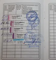 Amire szükség van egy kiállítás a macskák