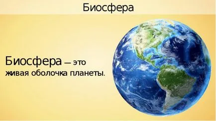 Mi az a meghatározás, a bioszféra