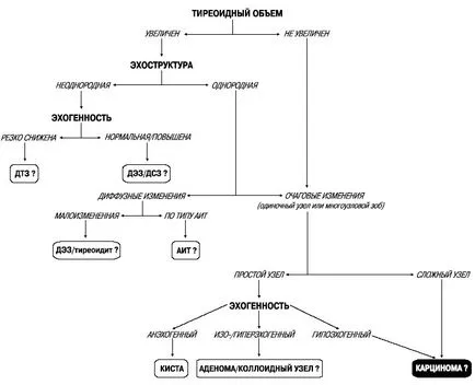 Mi a pajzsmirigy adenoma és mik a tünetei (prosztata) Mi a pajzsmirigy adenoma és mik a tünetek