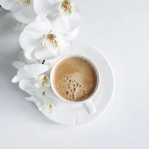Mi a sima fehér, latte, vagy helyettesítésére (lapos) Mi a sima fehér, tejeskávé vagy helyettesítő