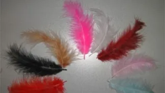Mi a fuzz