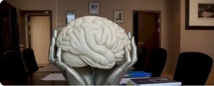 Mi a neuropszichológiai diagnózis és korrekció (diagnosztika) Mi a neuropszichológiai diagnosztikában és korrekció