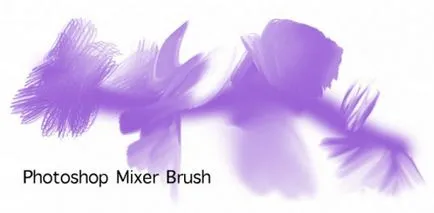 Corel Painter vs photoshop szolgáltatás összehasonlítás digitális festés, photoshop