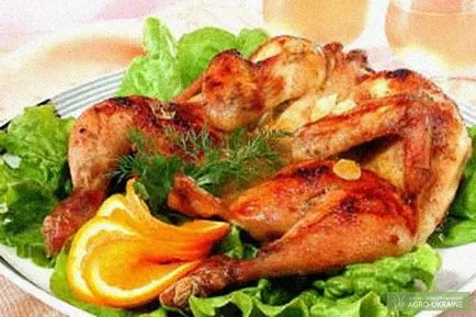 Csirke Tabaka - csirke receptek dohány -, hogyan kell főzni
