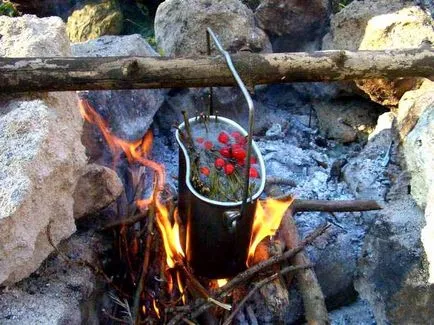 Mit kell hozni egy piknik ételt termékek listáját és a nyári receptek (lista) Mit kell hozni egy piknik ételt termékek listáját és a nyári receptek