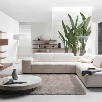 A dekoráció a nappaliban - 80 kép szokatlan tervezési ötletek a belső