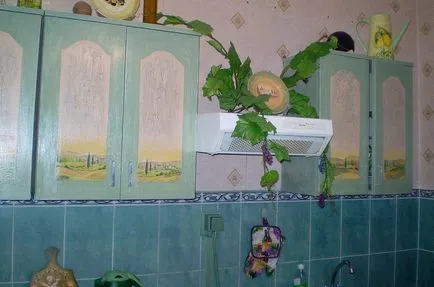 Decoupage egy régi szekrény kezével fotó konyha mester osztály, hogyan lehet egy hézag ajtók