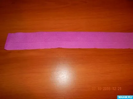 Aster virág hullámpapír