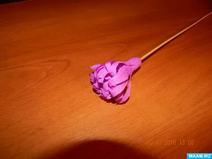 Aster virág hullámpapír