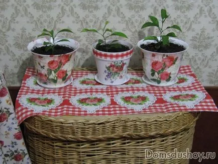 Decoupage virágcserepet 1