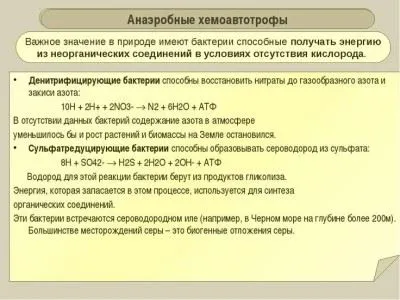 Légzés baktériumok, gombák, növények, osztályozása aerob típusú, anaerob fermentációs