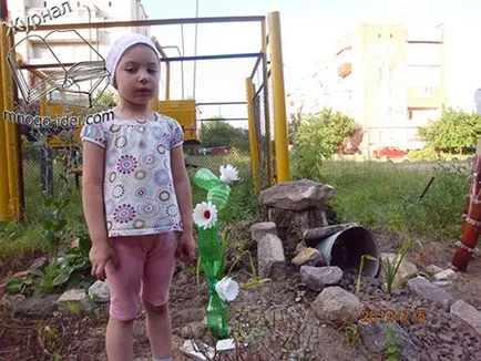 Fák és virágok műanyag palackok