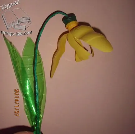 Fák és virágok műanyag palackok