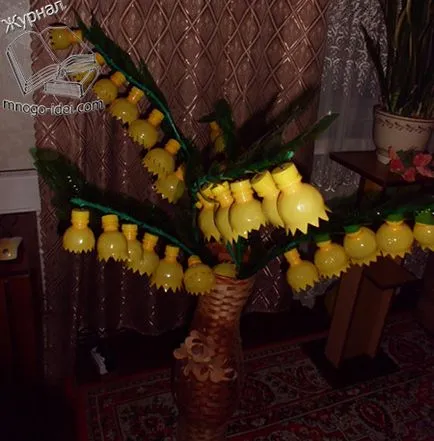 Fák és virágok műanyag palackok