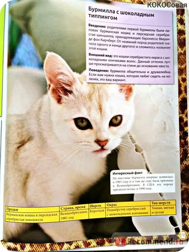Encyclopedia of the Cat