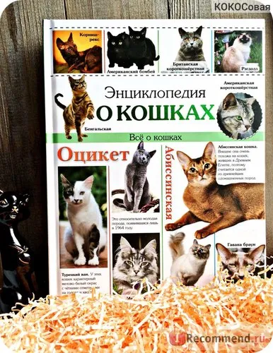 Encyclopedia of the Cat