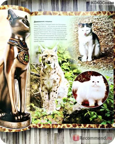 Encyclopedia of the Cat