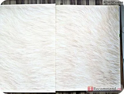 Encyclopedia of the Cat