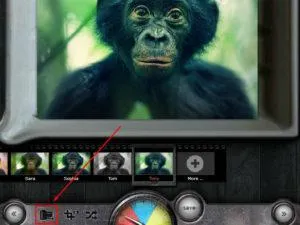 Szűrők és effektusok képek Instagram online fénykép szerkesztő