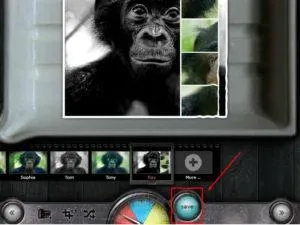 Szűrők és effektusok képek Instagram online fénykép szerkesztő