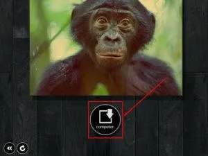 Szűrők és effektusok képek Instagram online fénykép szerkesztő