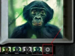 Szűrők és effektusok képek Instagram online fénykép szerkesztő