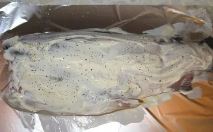 Trout kemencében sült fólia