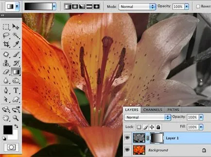 Photoshop kezdőknek maszk réteg, órák