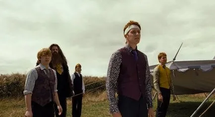 Harry Potter egész populáris kultúra (film, Harry Frame) Harry Potter egész népi kultúra