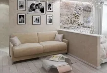 Nappali-hálószoba 18 négyzetek tervezés fotók belső szoba hall, elrendezés és design, kombinálva a