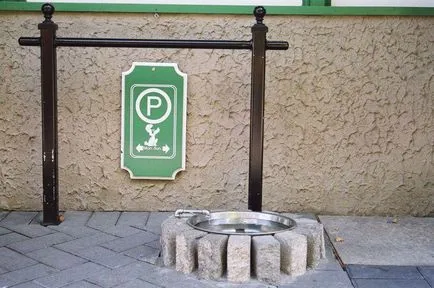 City, kényelmes kutyáknak