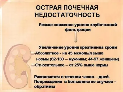 Hormonok a vese és az általuk termelt okai megsértése