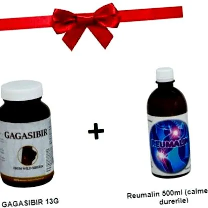 chaga органски