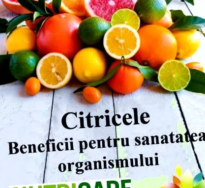 gyümölcse