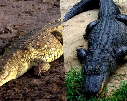 легко